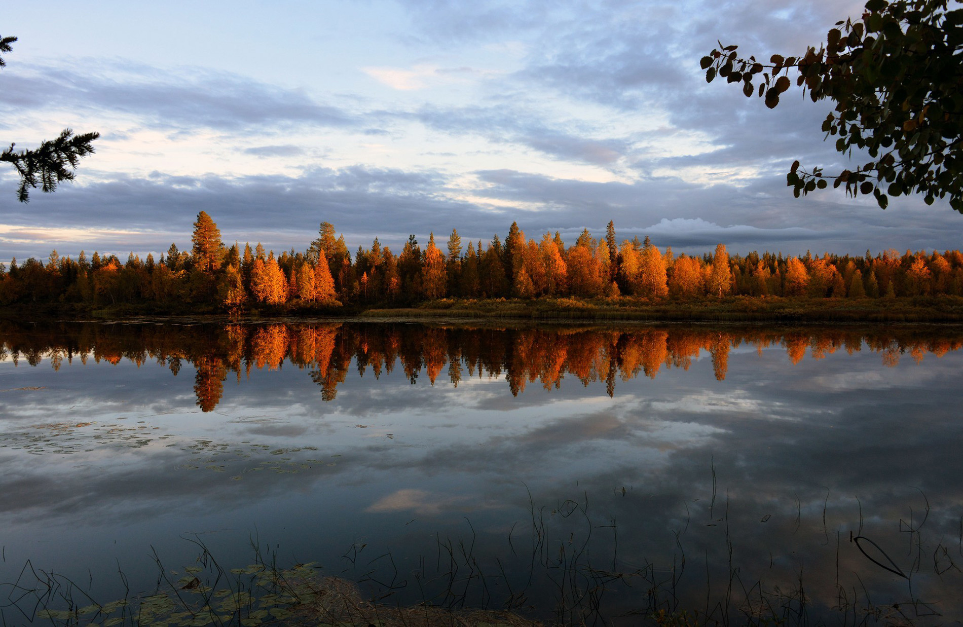 Karelianwild - Naturerlebnisse in Finnland - Foto von Totti Turunen