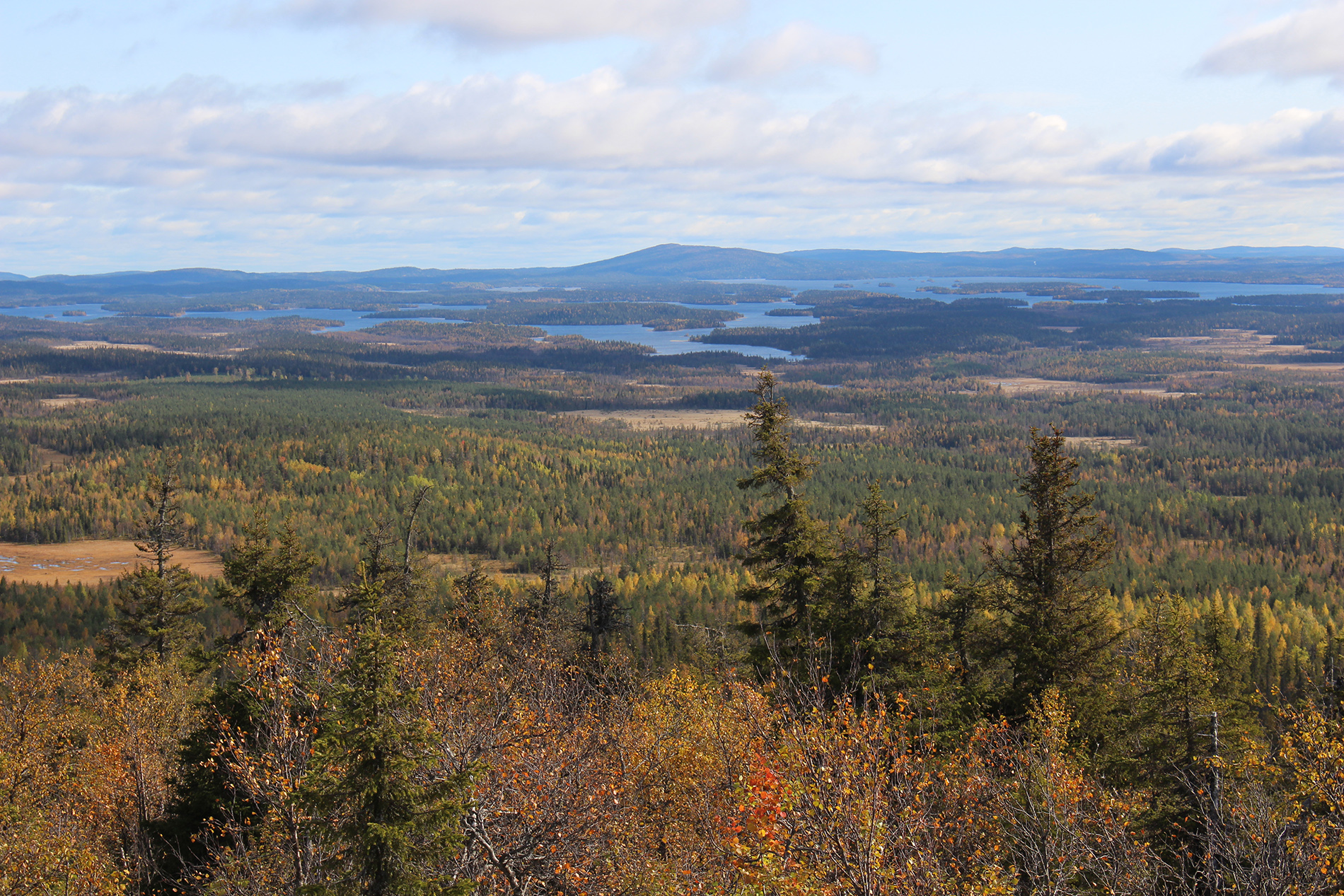 Karelianwild - Jagen und Fischen in Finnland