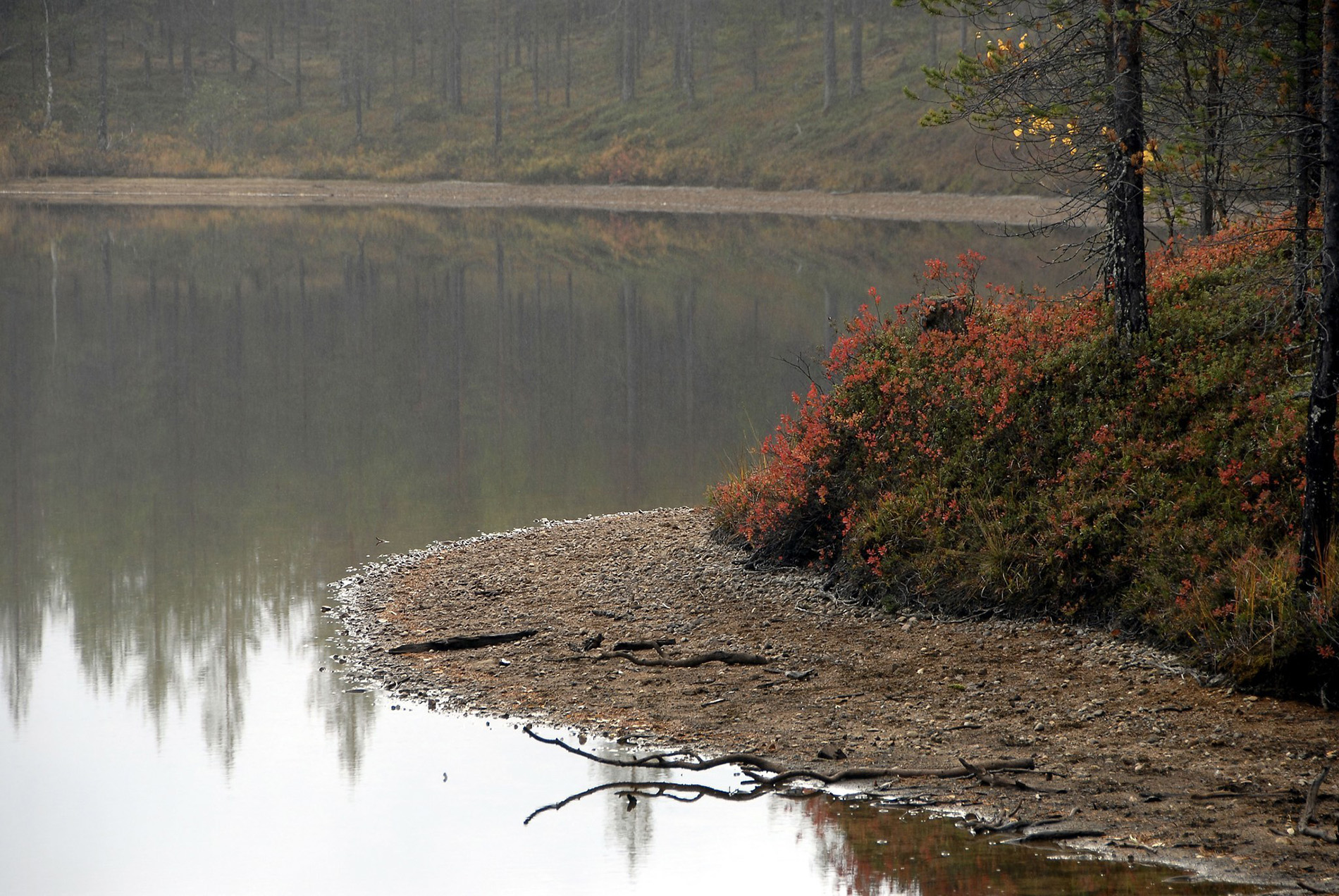 Karelianwild - Naturabenteuer in Finnland - Foto von Totti Turunen