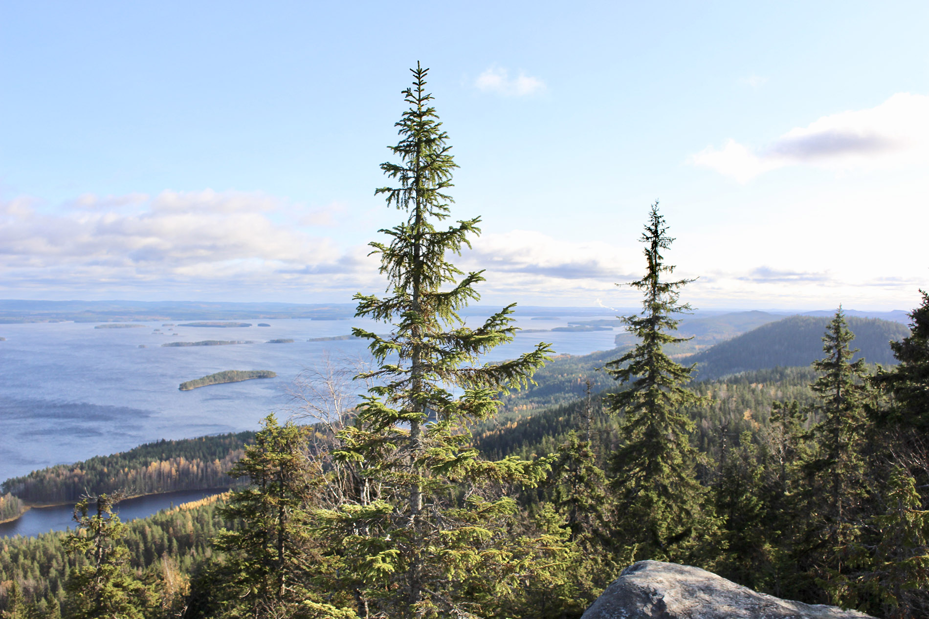 Karelianwild- wunderbare Landschaft in Finnland